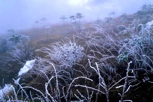 我国能源机构发布民族地区能源发展战略 助力民族地区可持续发展